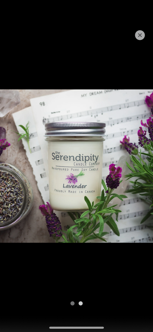 Serendipity Soy Candle